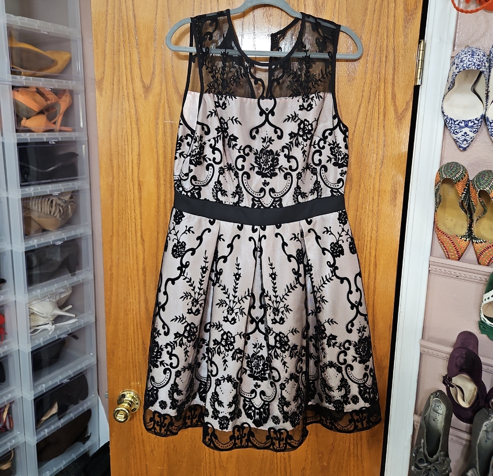 Roz & Ali Powder Pink Black Lace Dress